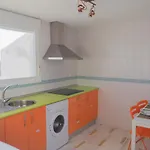 Conilplus Studio San Ignacio